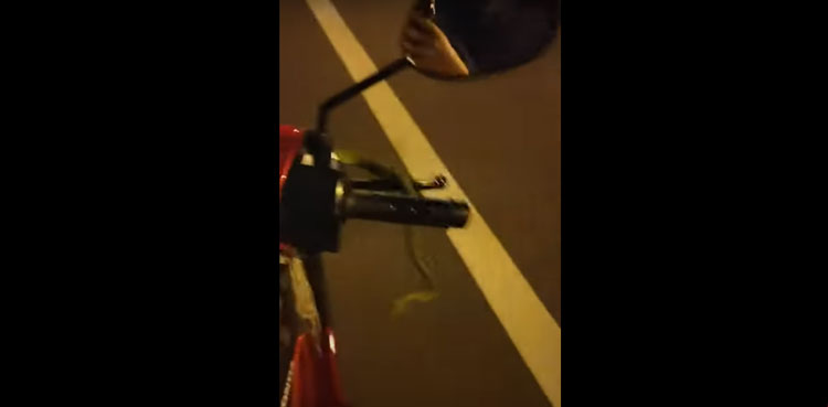 Biker continues riding with snake entangled around handle