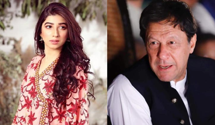 Mariyam Nafees thinks criticism against Imran Khan is ‘selective’