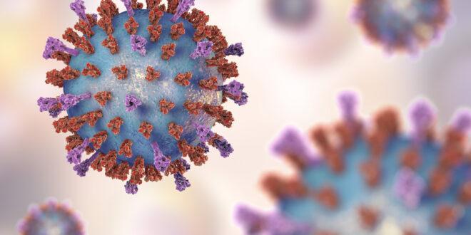 چین سے اسلام آباد پہنچنے والے چینی شہری میں کرونا وائرس کی ممکنہ تشخیص ، یہ کس طرح آیا تھا ؟ جانئے
